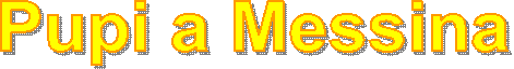 Biblioteche e Musei